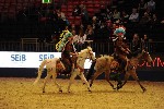 Quadrille - 00404